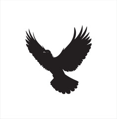 pigeon isolated on white background, bird, silhouette, eagle, vector, flying, animal, illustration, wing, nature, black, birds, dove, feather, wings, tattoo, fly, hawk, design, wildlife, flight, freed