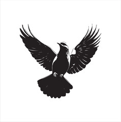 pigeon isolated on white background, bird, silhouette, eagle, vector, flying, animal, illustration, wing, nature, black, birds, dove, feather, wings, tattoo, fly, hawk, design, wildlife, flight, freed