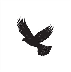 pigeon isolated on white background, bird, silhouette, eagle, vector, flying, animal, illustration, wing, nature, black, birds, dove, feather, wings, tattoo, fly, hawk, design, wildlife, flight, freed