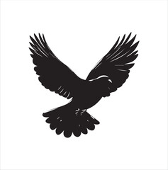 pigeon isolated on white background, bird, silhouette, eagle, vector, flying, animal, illustration, wing, nature, black, birds, dove, feather, wings, tattoo, fly, hawk, design, wildlife, flight, freed