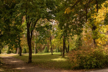 autumn in the park