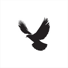 pigeon isolated on white background, bird, silhouette, eagle, vector, flying, animal, illustration, wing, nature, black, birds, dove, feather, wings, tattoo, fly, hawk, design, wildlife, flight, freed