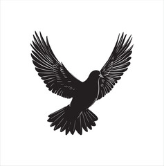 Fototapeta premium pigeon isolated on white background, bird, silhouette, eagle, vector, flying, animal, illustration, wing, nature, black, birds, dove, feather, wings, tattoo, fly, hawk, design, wildlife, flight, freed