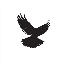 pigeon isolated on white background, bird, silhouette, eagle, vector, flying, animal, illustration, wing, nature, black, birds, dove, feather, wings, tattoo, fly, hawk, design, wildlife, flight, freed