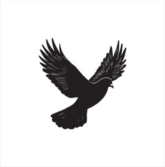 pigeon isolated on white background, bird, silhouette, eagle, vector, flying, animal, illustration, wing, nature, black, birds, dove, feather, wings, tattoo, fly, hawk, design, wildlife, flight, freed