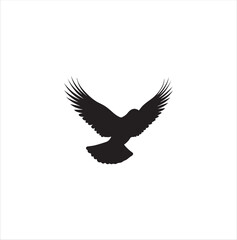 pigeon isolated on white background, bird, silhouette, eagle, vector, flying, animal, illustration, wing, nature, black, birds, dove, feather, wings, tattoo, fly, hawk, design, wildlife, flight, freed
