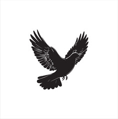 pigeon isolated on white background, bird, silhouette, eagle, vector, flying, animal, illustration, wing, nature, black, birds, dove, feather, wings, tattoo, fly, hawk, design, wildlife, flight, freed