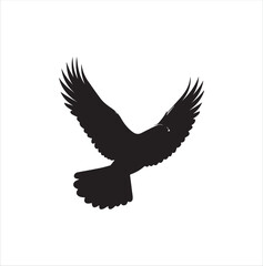 pigeon isolated on white background, bird, silhouette, eagle, vector, flying, animal, illustration, wing, nature, black, birds, dove, feather, wings, tattoo, fly, hawk, design, wildlife, flight, freed