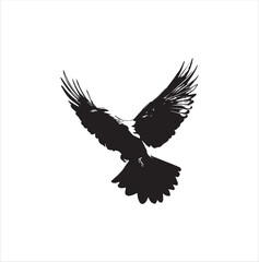 pigeon isolated on white background, bird, silhouette, eagle, vector, flying, animal, illustration, wing, nature, black, birds, dove, feather, wings, tattoo, fly, hawk, design, wildlife, flight, freed