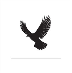 pigeon isolated on white background, bird, silhouette, eagle, vector, flying, animal, illustration, wing, nature, black, birds, dove, feather, wings, tattoo, fly, hawk, design, wildlife, flight, freed