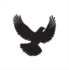 pigeon isolated on white background, bird, silhouette, eagle, vector, flying, animal, illustration, wing, nature, black, birds, dove, feather, wings, tattoo, fly, hawk, design,Art & Illustration