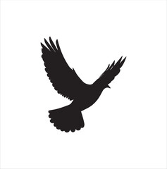pigeon isolated on white background, bird, silhouette, eagle, vector, flying, animal, illustration, wing, nature, black, birds, dove, feather, wings, tattoo, fly, hawk, design,Art & Illustration