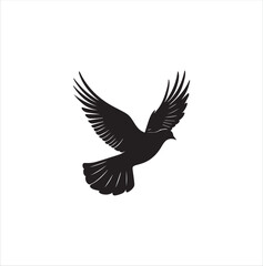 pigeon isolated on white background, bird, silhouette, eagle, vector, flying, animal, illustration, wing, nature, black, birds, dove, feather, wings, tattoo, fly, hawk, design,Art & Illustration
