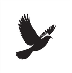 pigeon isolated on white background, bird, silhouette, eagle, vector, flying, animal, illustration, wing, nature, black, birds, dove, feather, wings, tattoo, fly, hawk, design,Art & Illustration