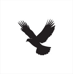 pigeon isolated on white background, bird, silhouette, eagle, vector, flying, animal, illustration, wing, nature, black, birds, dove, feather, wings, tattoo, fly, hawk, design,Art & Illustration