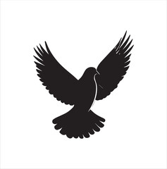 pigeon isolated on white background, bird, silhouette, eagle, vector, flying, animal, illustration, wing, nature, black, birds, dove, feather, wings, tattoo, fly, hawk, design,Art & Illustration