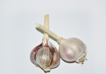 unpeeled heads of garlic on a white background. A useful vegetable for preventing colds and flu, increasing immunity. vitamins and antioxidants
