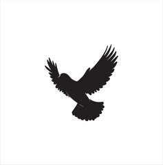 Obraz premium pigeon isolated on white background, bird, silhouette, eagle, vector, flying, animal, illustration, wing, nature, black, birds, dove, feather, wings, tattoo, fly, hawk, design,Art & Illustration