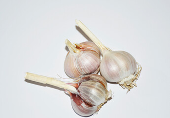 unpeeled heads of garlic on a white background. A useful vegetable for preventing colds and flu, increasing immunity. vitamins and antioxidants