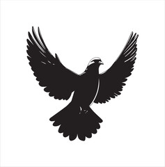 Obraz premium pigeon isolated on white background