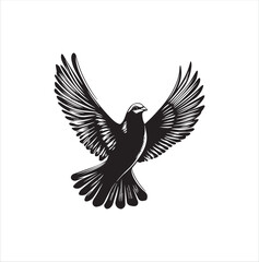 Obraz premium pigeon isolated on white background, bird, silhouette, eagle, vector, flying, animal, illustration, wing, nature, black, birds, dove, feather, wings, tattoo, fly, hawk, design,Art & Illustration