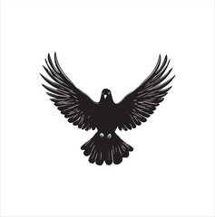 Obraz premium pigeon isolated on white background