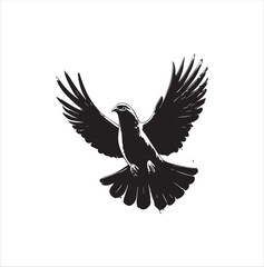 pigeon isolated on white background, bird, silhouette, eagle, vector, flying, animal, illustration, wing, nature, black, birds, dove, feather, wings, tattoo, fly, hawk, design,Art & Illustration