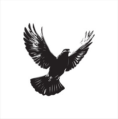 pigeon isolated on white background, bird, silhouette, eagle, vector, flying, animal, illustration, wing, nature, black, birds, dove, feather, wings, tattoo, fly, hawk, design,Art & Illustration