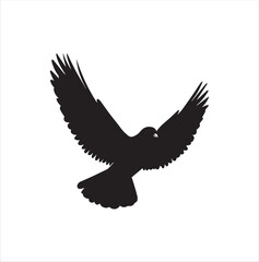 pigeon isolated on white background, bird, silhouette, eagle, vector, flying, animal, illustration, wing, nature, black, birds, dove, feather, wings, tattoo, fly, hawk, design,Art & Illustration