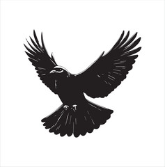 pigeon isolated on white background, bird, silhouette, eagle, vector, flying, animal, illustration, wing, nature, black, birds, dove, feather, wings, tattoo, fly, hawk, design,Art & Illustration
