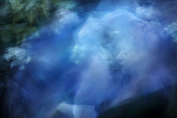 Soft Hortensia Grace