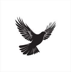 pigeon isolated on white background, bird, silhouette, eagle, vector, flying, animal, illustration, wing, nature, black, birds, dove, feather, wings, tattoo, fly, hawk, design,Art & Illustration