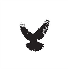 Obraz premium pigeon isolated on white background, bird, silhouette, eagle, vector, flying, animal, illustration, wing, nature, black, birds, dove, feather, wings, tattoo, fly, hawk, design,Art & Illustration