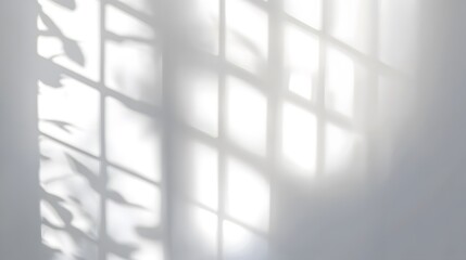 Realistic and minimalist blurred natural light with windows shadow overlay on wallpaper texture