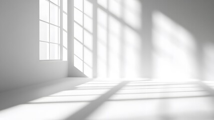 Realistic and minimalist blurred natural light with windows shadow overlay on wallpaper texture