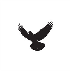 Obraz premium pigeon isolated on white background, bird, silhouette, eagle, vector, flying, animal, illustration, wing, nature, black, birds, dove, feather, wings, tattoo, fly, hawk, design,Art & Illustration