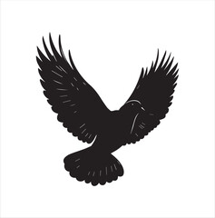 pigeon isolated on white background, bird, silhouette, eagle, vector, flying, animal, illustration, wing, nature, black, birds, dove, feather, wings, tattoo, fly, hawk, design,Art & Illustration