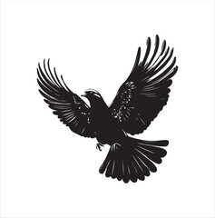 pigeon isolated on white background, bird, silhouette, eagle, vector, flying, animal, illustration, wing, nature, black, birds, dove, feather, wings, tattoo, fly, hawk, design,Art & Illustration