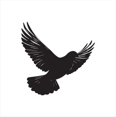 pigeon isolated on white background, bird, silhouette, eagle, vector, flying, animal, illustration, wing, nature, black, birds, dove, feather, wings, tattoo, fly, hawk, design,Art & Illustration