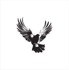 pigeon isolated on white background, bird, silhouette, eagle, vector, flying, animal, illustration, wing, nature, black, birds, dove, feather, wings, tattoo, fly, hawk, design,Art & Illustration