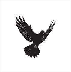 pigeon isolated on white background, bird, silhouette, eagle, vector, flying, animal, illustration, wing, nature, black, birds, dove, feather, wings, tattoo, fly, hawk, design,Art & Illustration