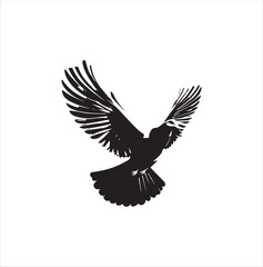 pigeon isolated on white background, bird, silhouette, eagle, vector, flying, animal, illustration, wing, nature, black, birds, dove, feather, wings, tattoo, fly, hawk, design,Art & Illustration