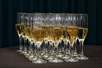 Glasses filled with champagne lined up in rows on the table.