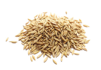 Pile unpeeled oat grains isolated on white
