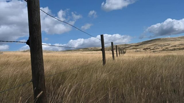 Dry grass blowing in a strong wind next to a wire farm fence under a blue sky
