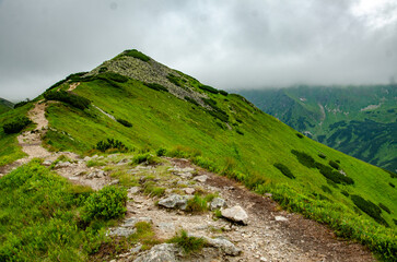 landscape in the mountains