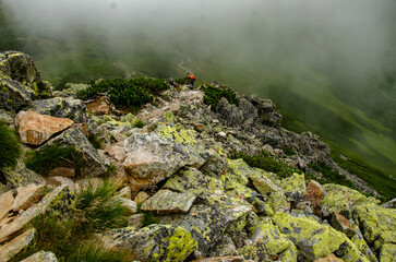 landscape in the mountains