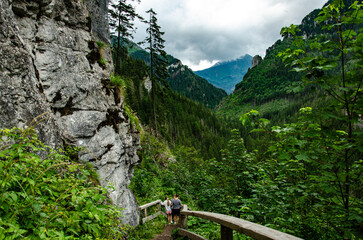 mountain bike trail