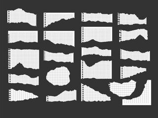 Collection of Torn Ripped Paper Effect