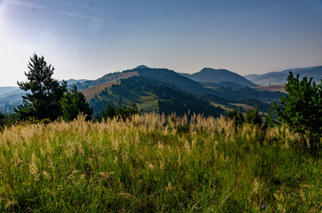 landscape with sky